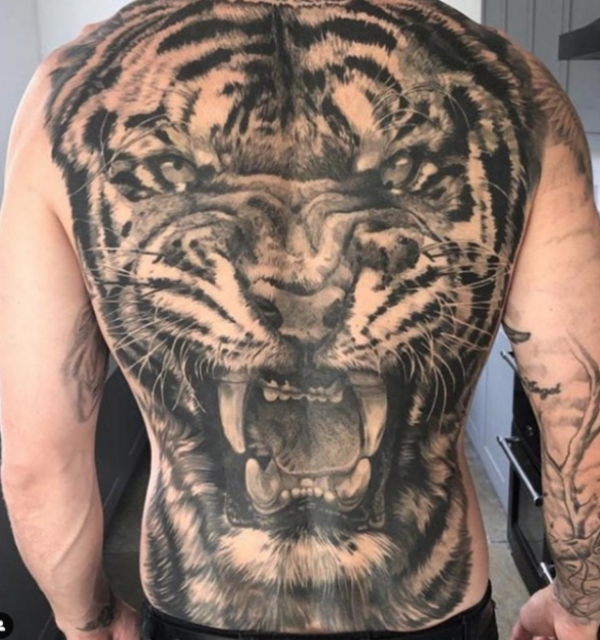 Harimau dengan ekspresi kuat